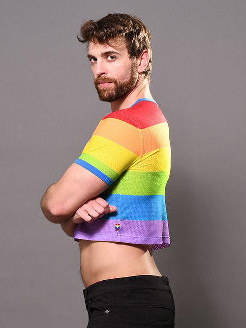 Andrew Christian Pride Stripe Mesh Crop Top
