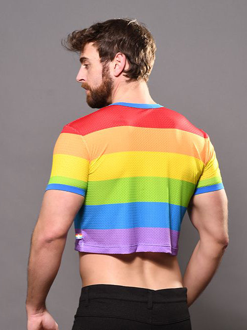Andrew Christian Pride Stripe Mesh Crop Top