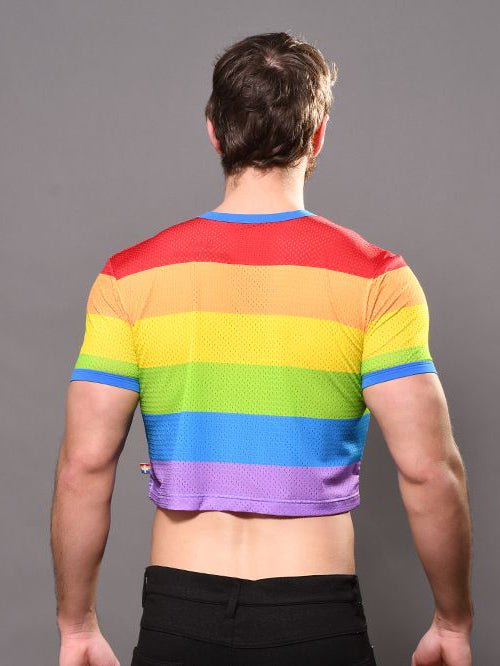 Andrew Christian Pride Stripe Mesh Crop Top