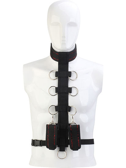 Blaze - Collar Body Restraint Harness