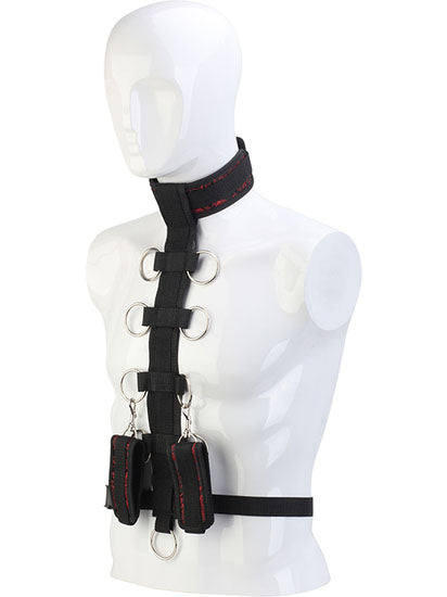 Blaze - Collar Body Restraint Harness