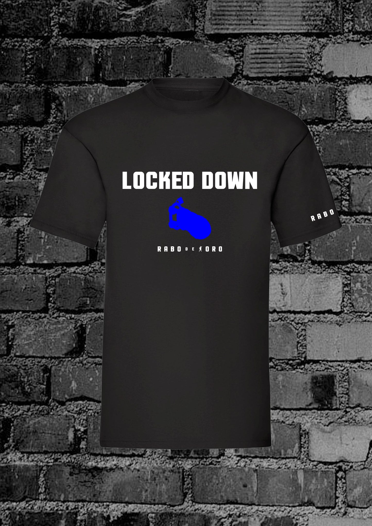 Locked Down by Rabo de Toro – A bold take on chastity and control in gay fetish fashion.