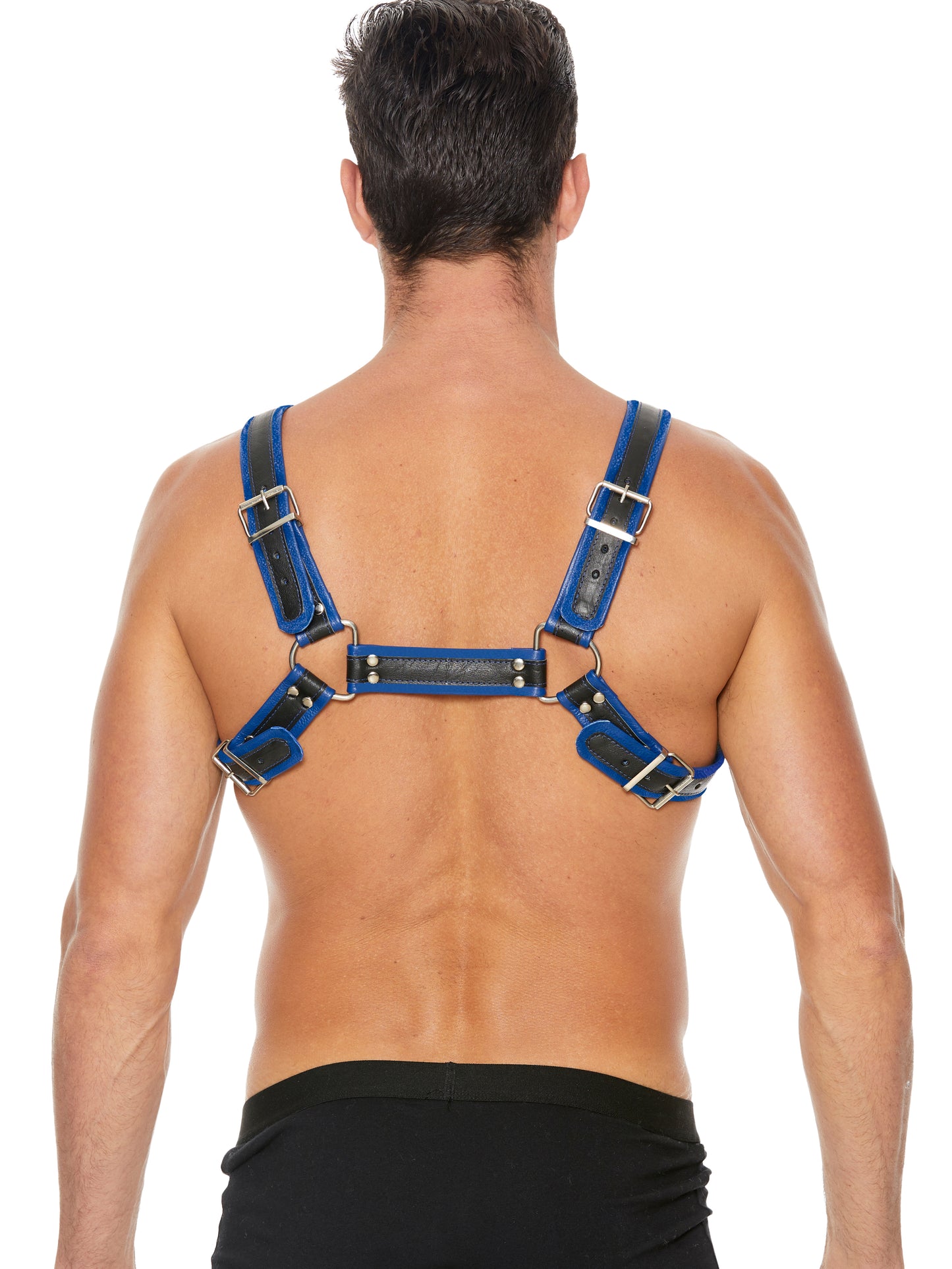 Leather Bulldog Harness with Buckles Blue