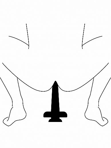 The Boner - Dildo