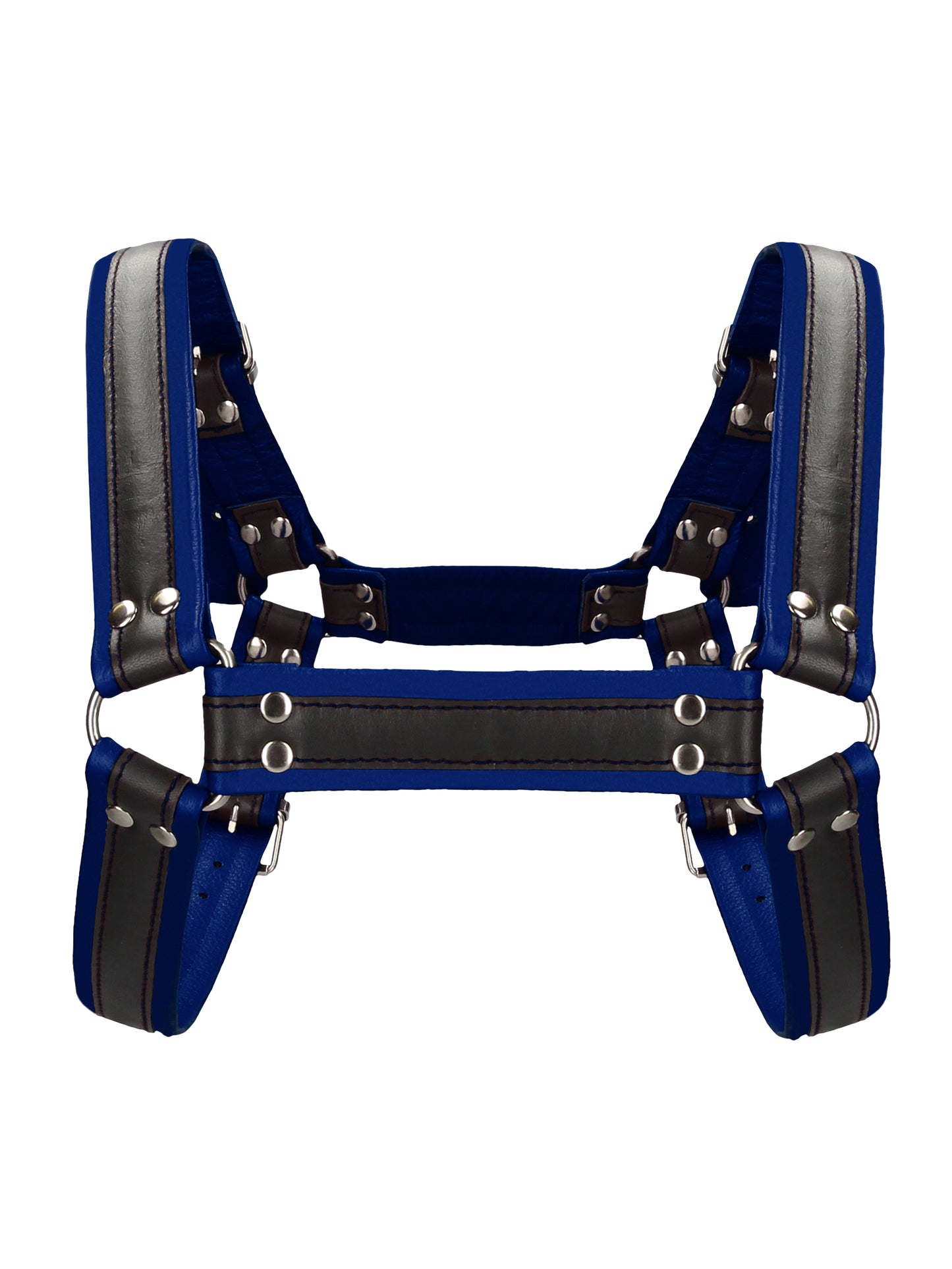 Leather Bulldog Harness with Buckles Blue