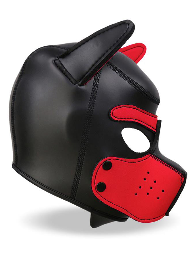 InToYou - Neoprene Dog Hood with Removable Muzzle Black - Red