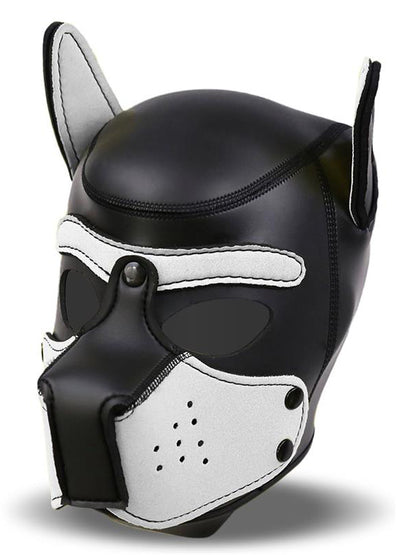 InToYou - Neoprene Dog Hood with Removable Muzzle Black / White