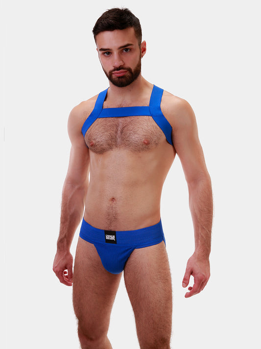 Barcode Berlin Harness Matt Royal Blue