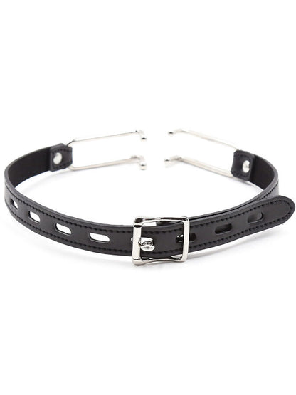 Ohmama Fetish Metal Hook Gag with Pu Strap