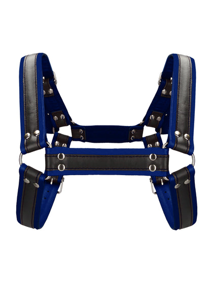Leather Bulldog Harness with Buckles Blue