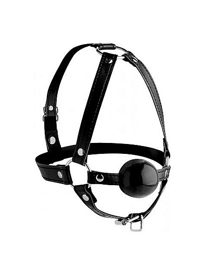 Head Harness with Ball Gag