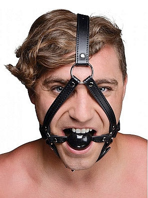 Head Harness with Ball Gag