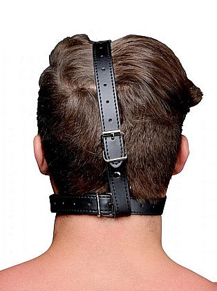 Head Harness with Ball Gag