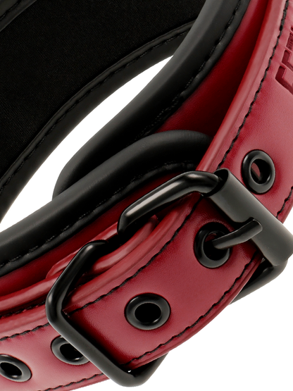 Fetish Submissive Dark Room Collar with Leash